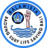 balaswista balaswista